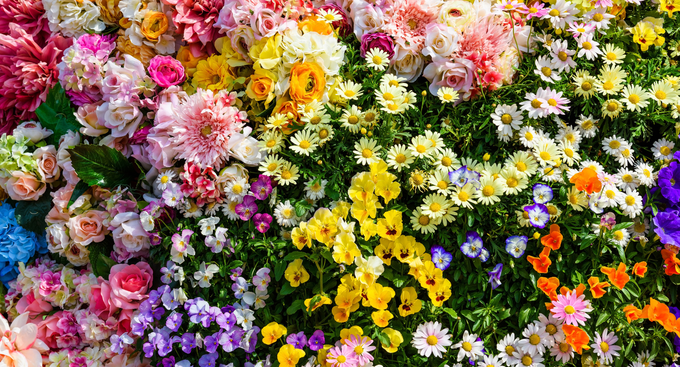 Mother's are Like Spring Flowers: A Mother's Day Tribute